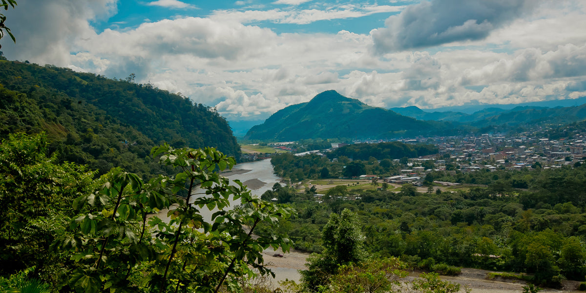 The Tropic Guide to Peruvian Chanchamayo Coffee