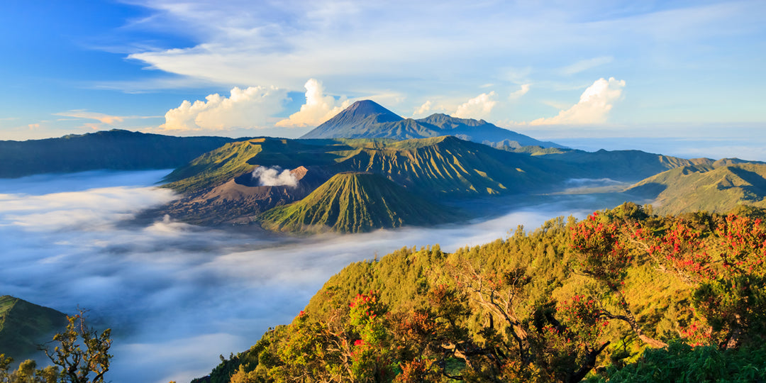 Java Bayukidul: A Coffee Journey Through East Java's Heart