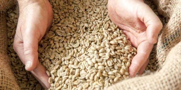 Brazilian Ipenema Bourbon Coffee