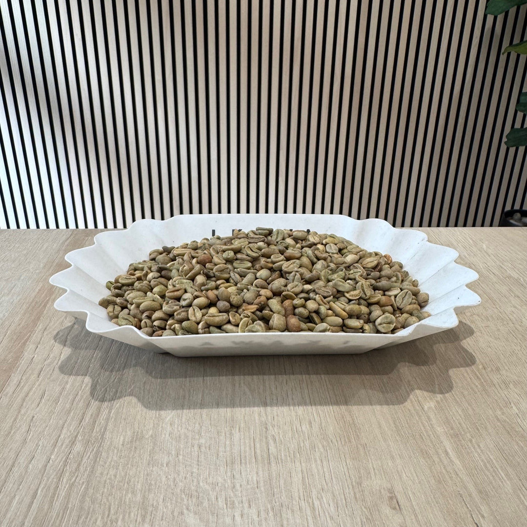 Ethiopian Lekempti Green Coffee Beans
