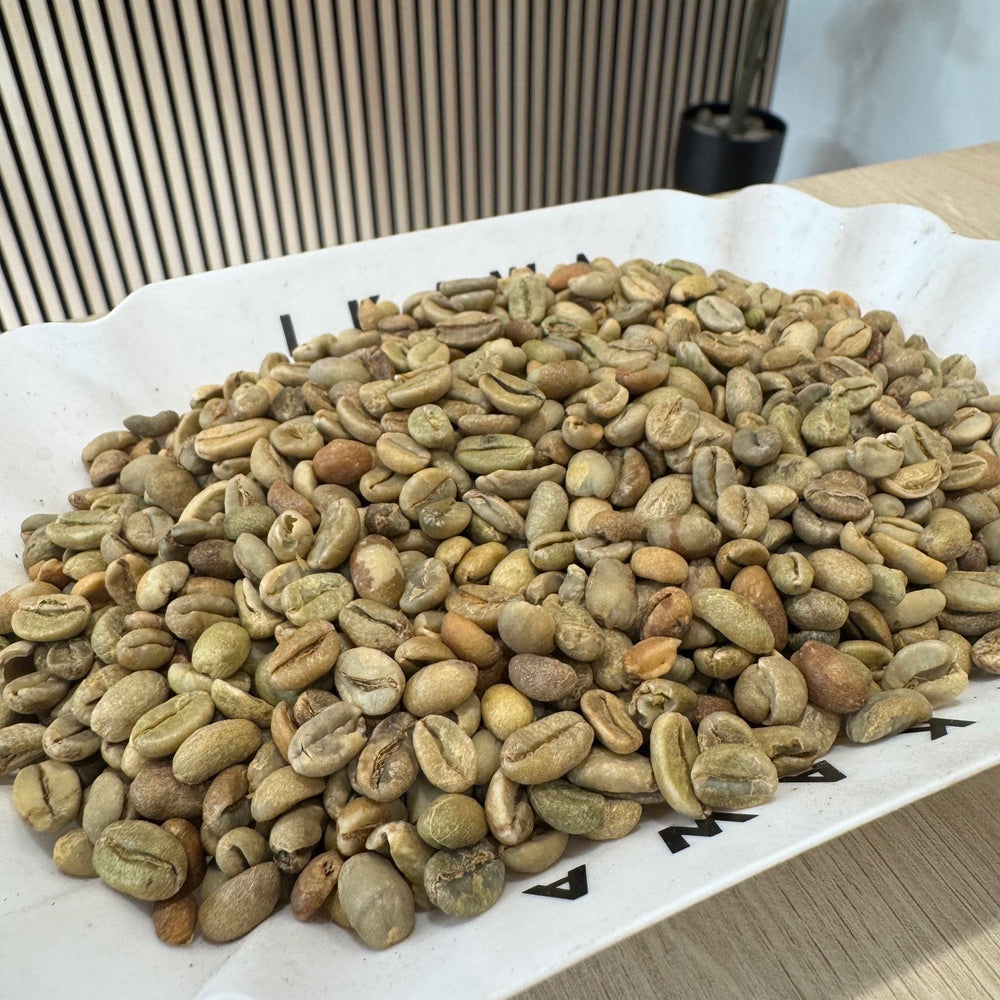 Ethiopian Lekempti Green Coffee Beans