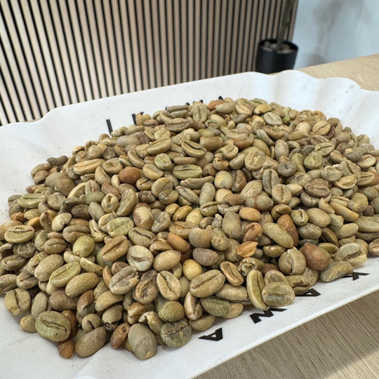 Ethiopian Lekempti Green Coffee Beans