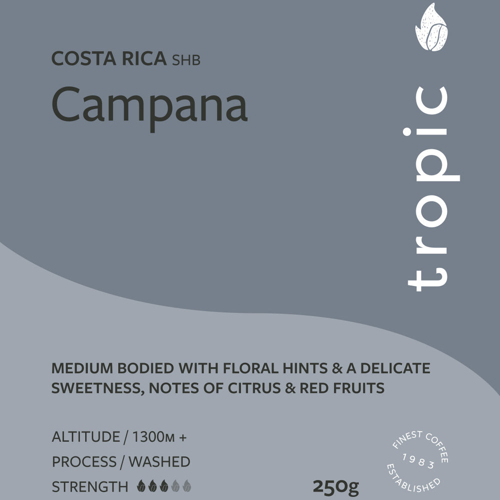 Costa Rica SHB Campana Coffee