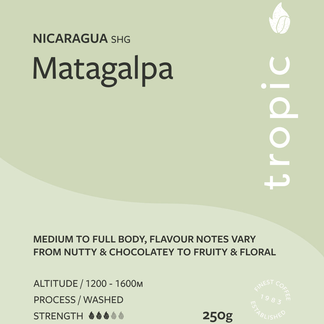Nicaragua SHG Matagalpa Coffee