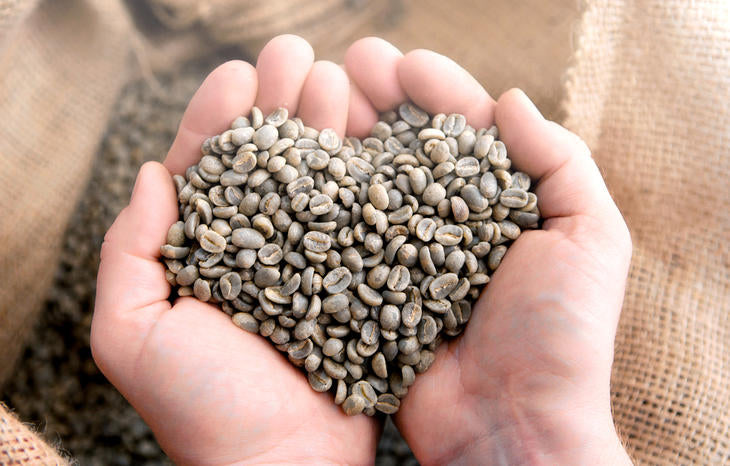 heart shape raw coffee in the hands Ethically sourced 