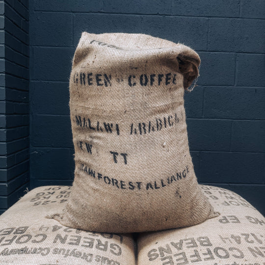 Malawi Green Coffee Beans