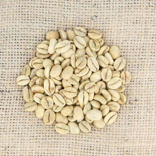 Indian Monsoon Malabar Green Coffee Beans