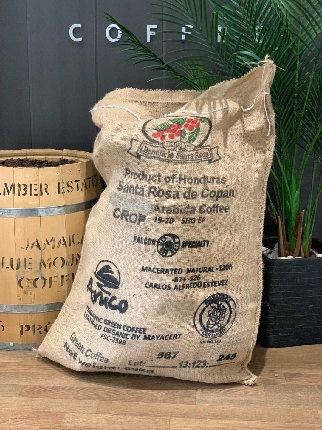 Honduras coffee